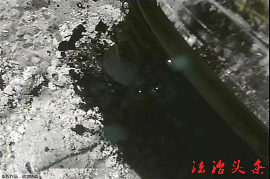 微信图片_20190308084217_副本.jpg