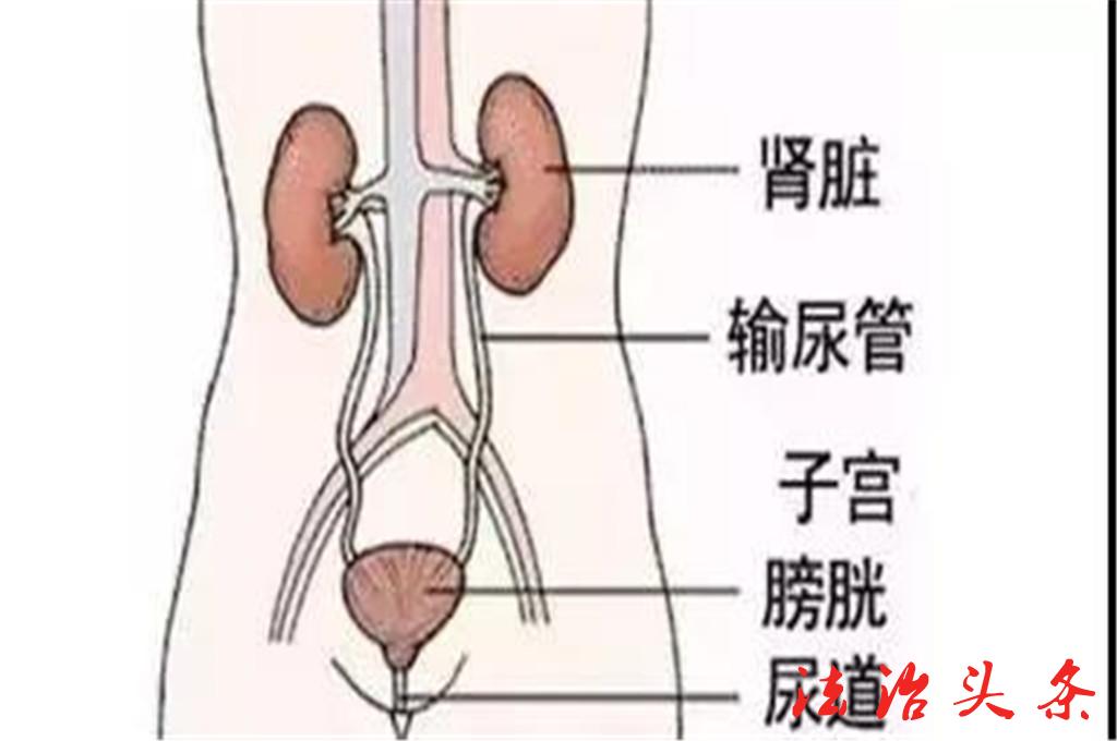 微信图片_20190830094245.jpg