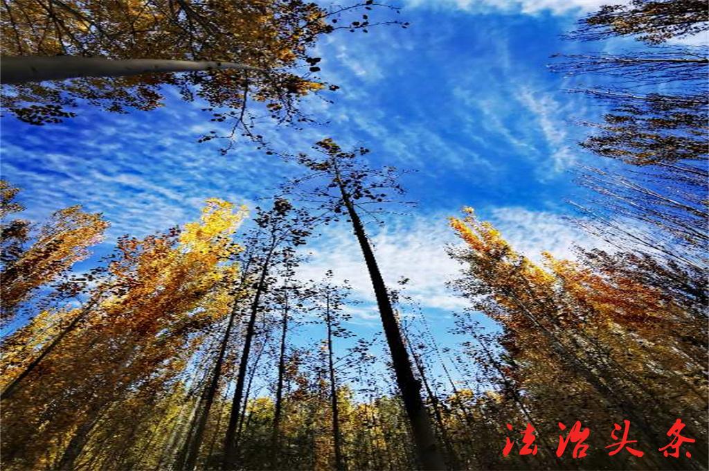 微信图片_20211031141524.jpg