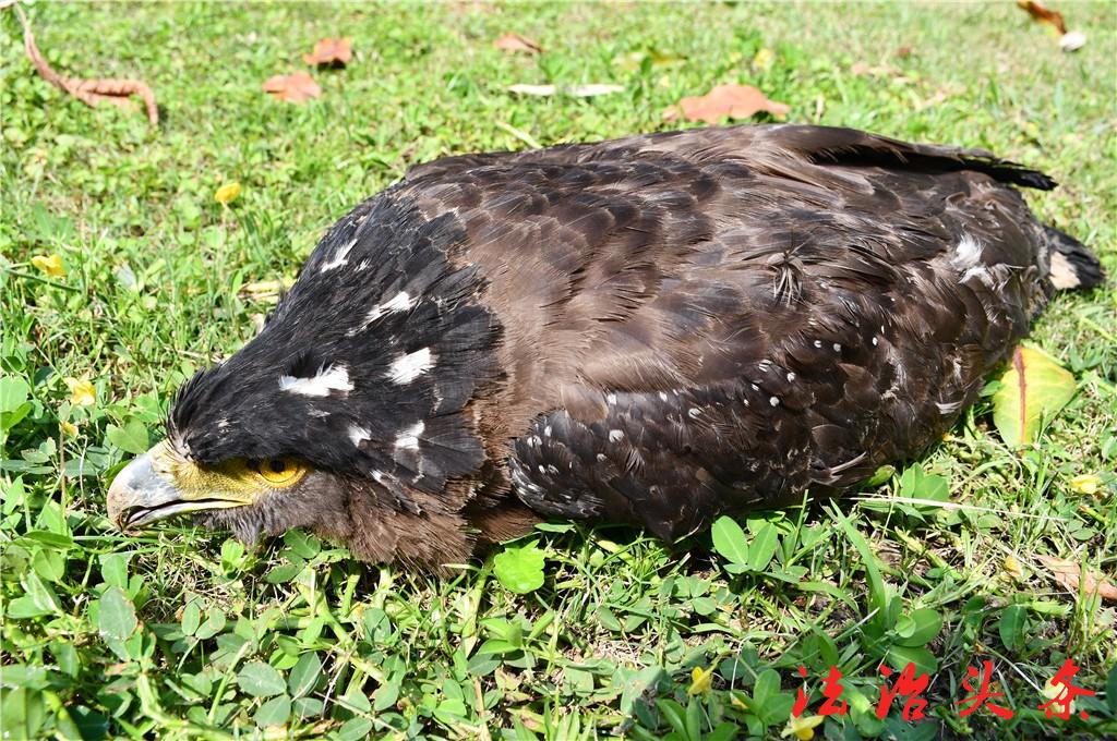 DSC_5682.JPG